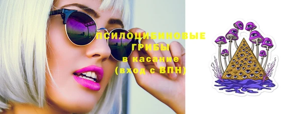 PSILOCYBIN Слюдянка