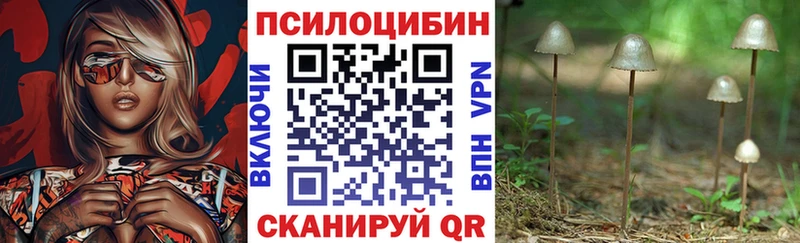 что такое наркотик  Бабаево  Псилоцибиновые грибы MAGIC MUSHROOMS 